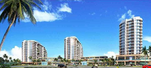 海岸漫谷VS海岸郁金香花園分析對比